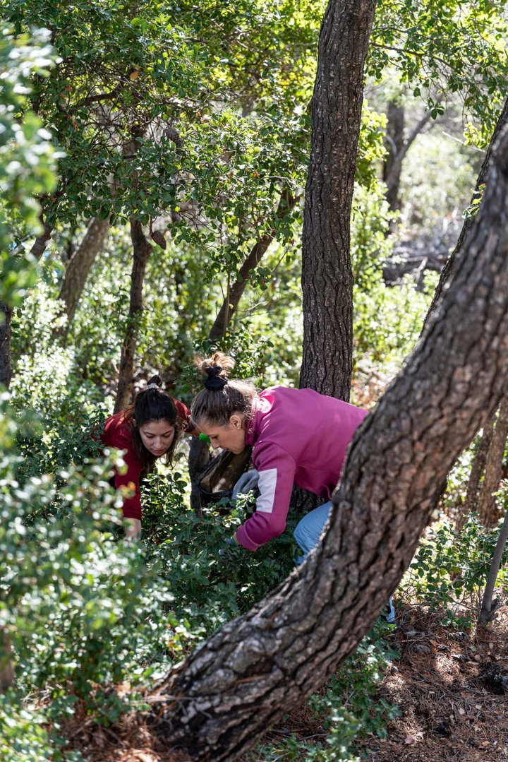 622126282 1469076811895486 6362830858022101448 N