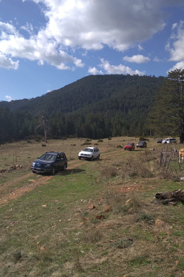 IMG 20190928 154757Site Gallery