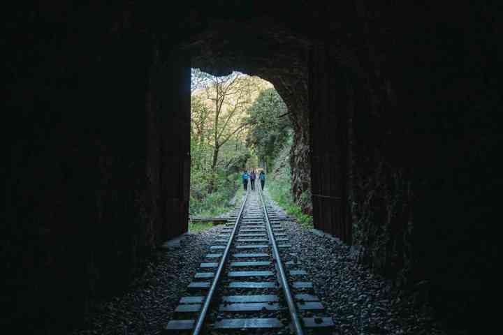 ONZ 3649