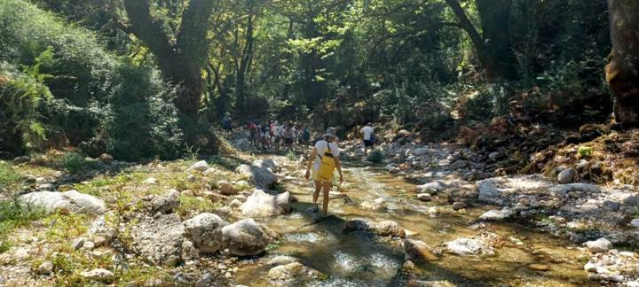 IMG Ef39343d5c2d38d178acbb039312f027 V