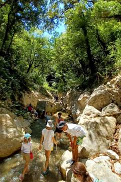 IMG A2d59c8870e16a8c7379d54e4fedc02d V