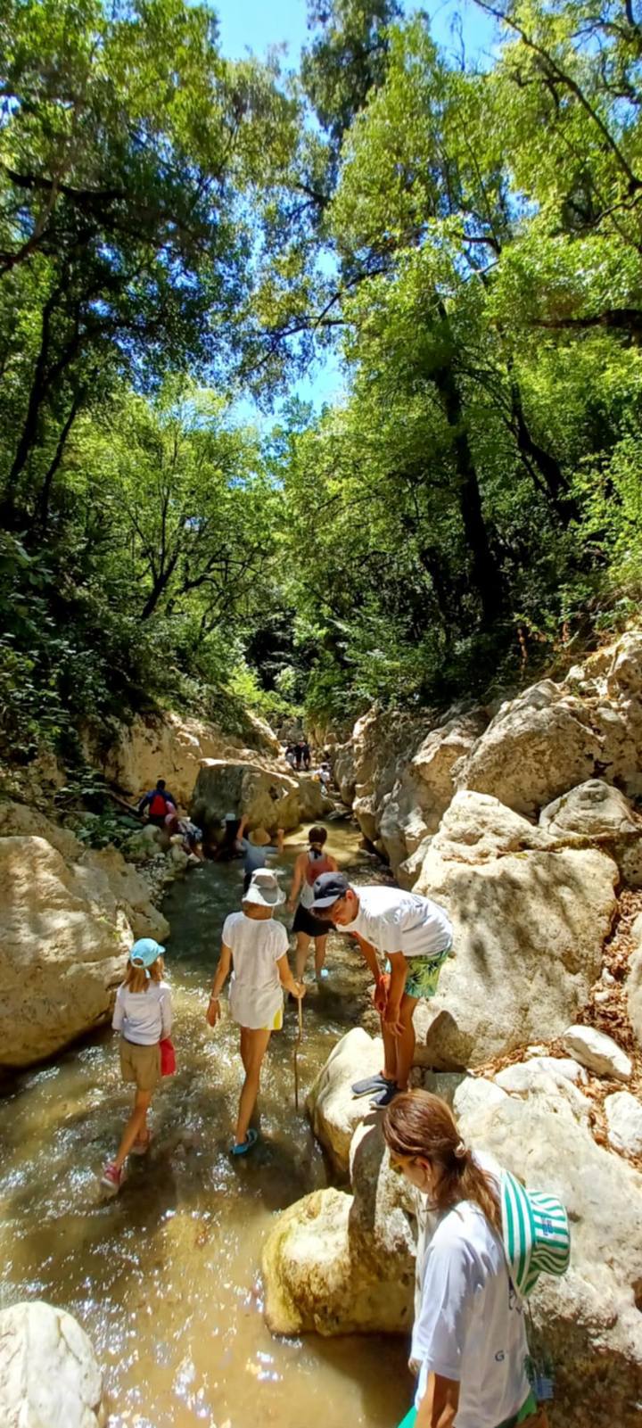 IMG A2d59c8870e16a8c7379d54e4fedc02d V