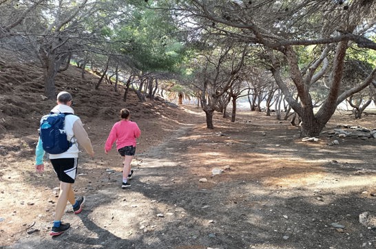 IMG 20251106 101424 Apano Meria Syros