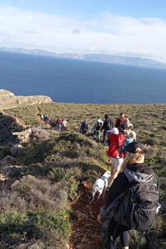 Viber Image 2026 02 05 10 19 52 639 Halandriani Hike Syros