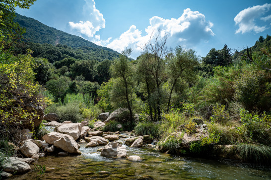 neda-waterfall-hike-arcadia-1