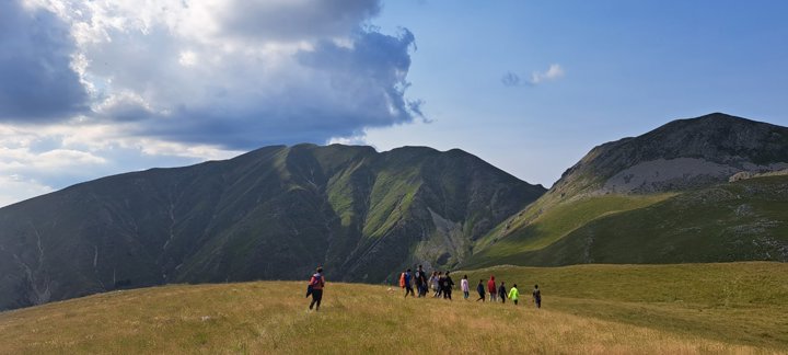 IMG 165A7a2e08ec1d3dcc5a69be798fdce1 V