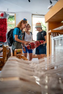 DSC00119 Enhanced Nrsitegallery