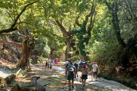 IMG 260A04ca488de4a69d39851cb43b0fe1 V