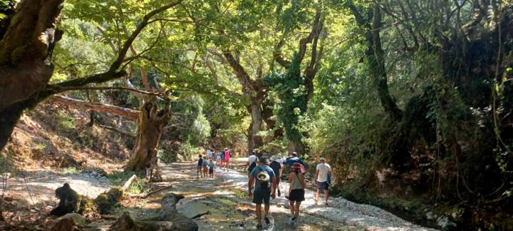 IMG 260A04ca488de4a69d39851cb43b0fe1 V