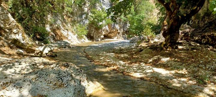 IMG A1600eea03e3bf7340ee6fc4dc98838b V