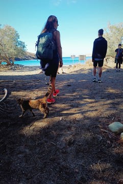 IMG 20251009 103046Syros Site Gallery