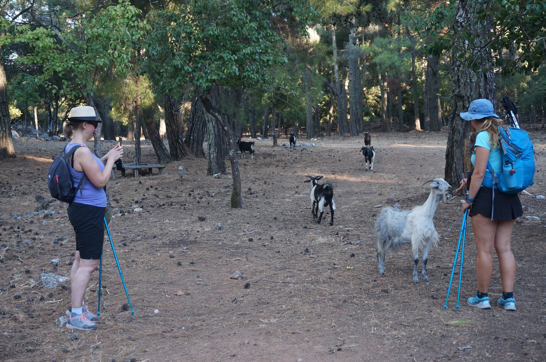 HIKING PROFITIS ILIAS SELECTION (5)Site Gallery