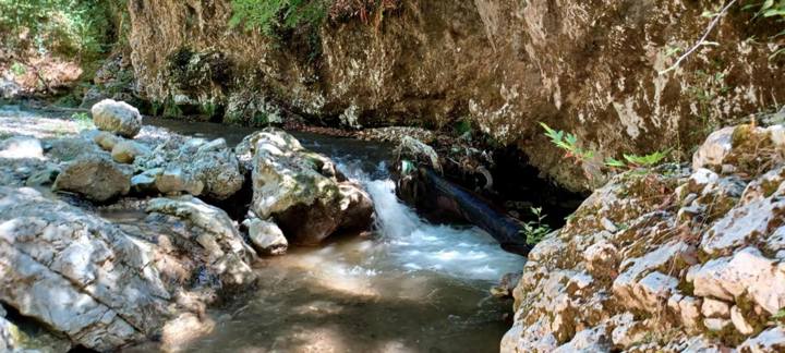 IMG 31Bdf4bf024cca89e7990054a81cf332 V