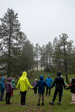 DSC 7450Hiressite Gallery Card