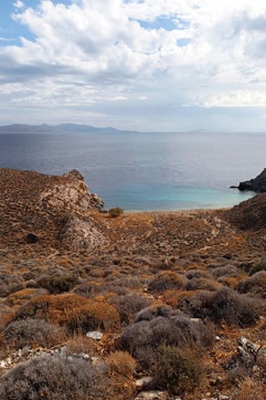 2025 12 11 12 17 23 405