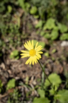 Dsc05737sitegallery