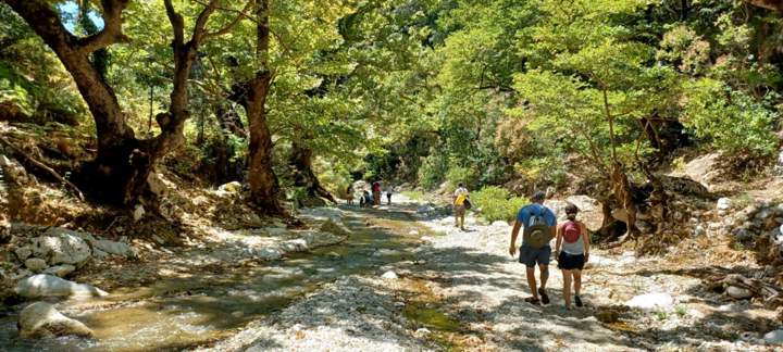 IMG F9b3ac0dad21fd58740d293b4f69ae63 V