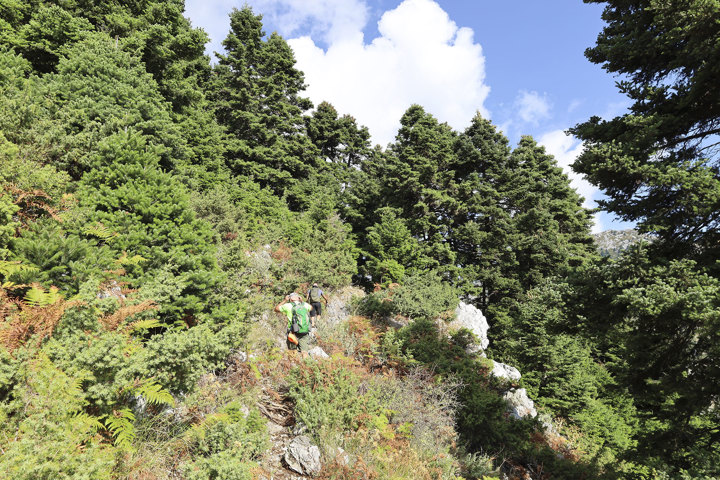 Hiking Mount Pyxarias Evia Greece 19