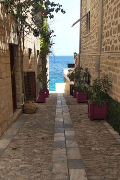 IMG 20220604 141938 Syros Walking Food Tour Site Gallery