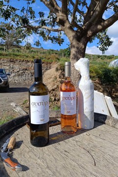 IMG 20250404 165405 Syros Country Hike Wine Tasting Site Gallery