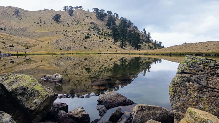 CAA64620 682A 4D90 8F53 A6CE9CDD071C Flega Verliga Limnes