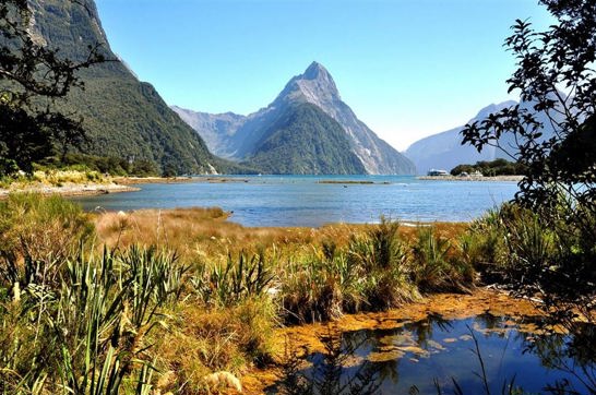 Fiordland Nationa Park Hero