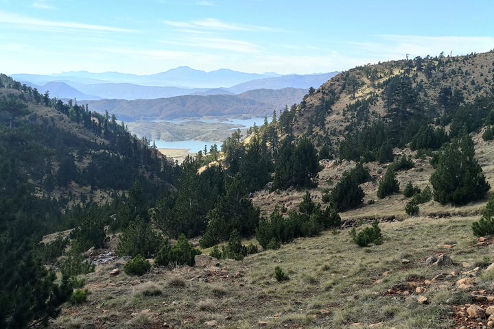 Img 20201101 110658Site Gallery Flega Verliga Limnes