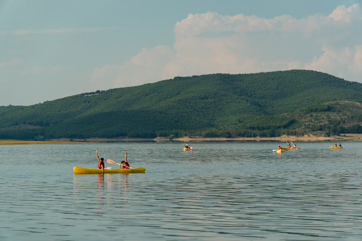 Dsc05049site Gallery