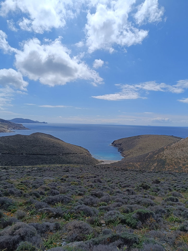 IMG 20250403 142315 Pezoporiki Exerevnisi Ano Meria Syros Site Gallery