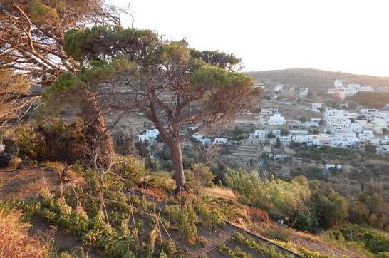 DSCN2791 Picturesque Naxos Hike Sitegallery 31